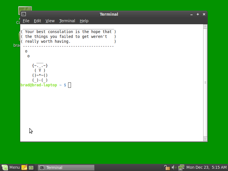 Linux Mint 8 Terminal