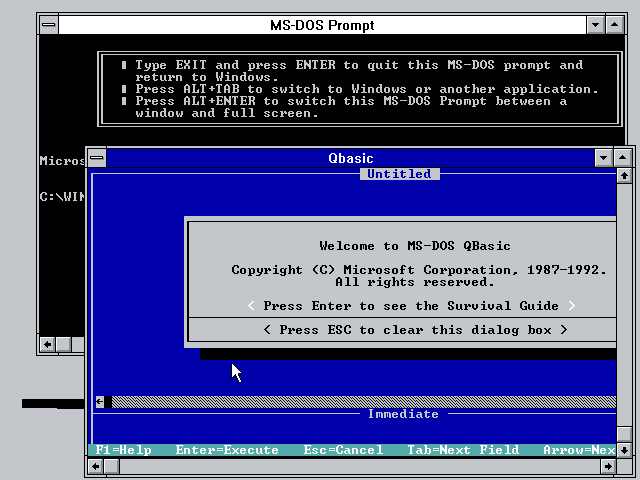 Windows 3.1 DOS VDM